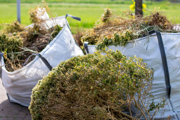 Best Junk Hauling Services  in Wakefield, VA